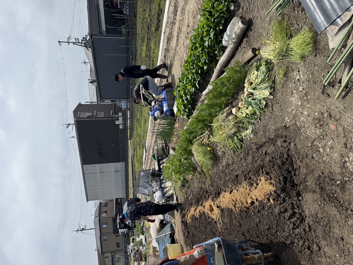 CASA SORA 建物